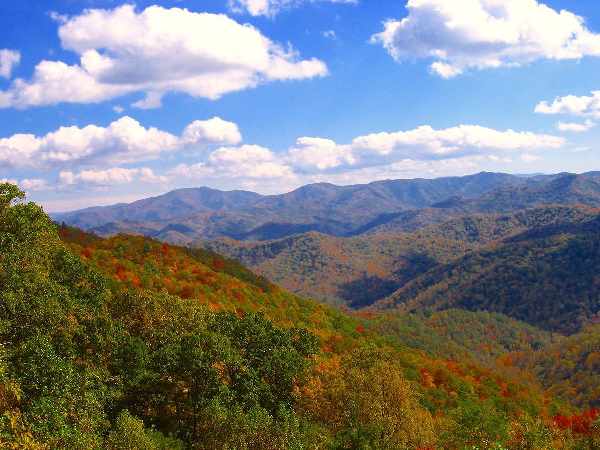 فيلا The Owl'S Perch روبنزفيل المظهر الخارجي الصورة